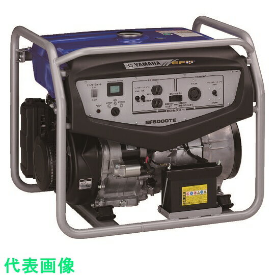 ダイシン オープンフレームタイプ発電機 SGB2500Ra | ハヤブサ