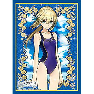 楽天市場】ホビージャパン フィギュア イリヤ 体操服Ver. HJ誌上