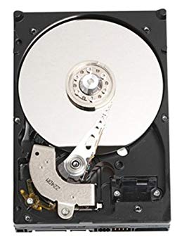 WesternDigital Caviar 3.5インチ内蔵型HDD 250GB/S-ATA WD2500JS