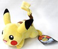 楽天市場】ポケモン ポケモンセンターオリジナル ぬいぐるみ