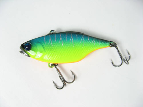 楽天市場】ジャッカル ジャッカル JACKALL TN60 マルハタスカルシェル