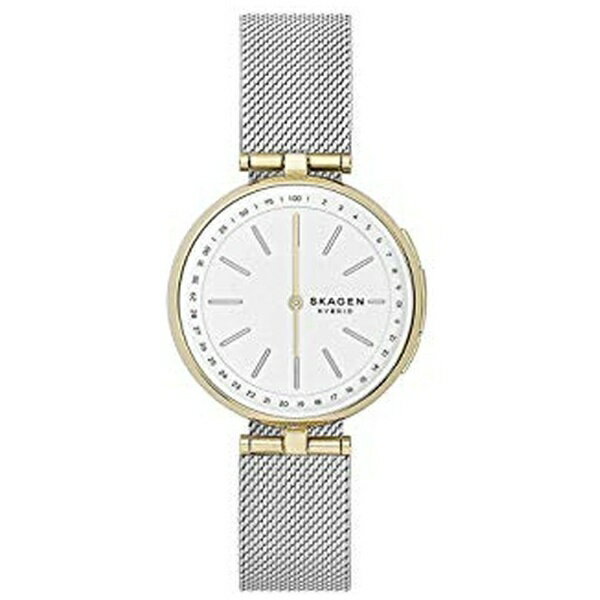 楽天市場】フォッシルジャパン SKAGEN｜スカーゲン SKAGEN SKW2763