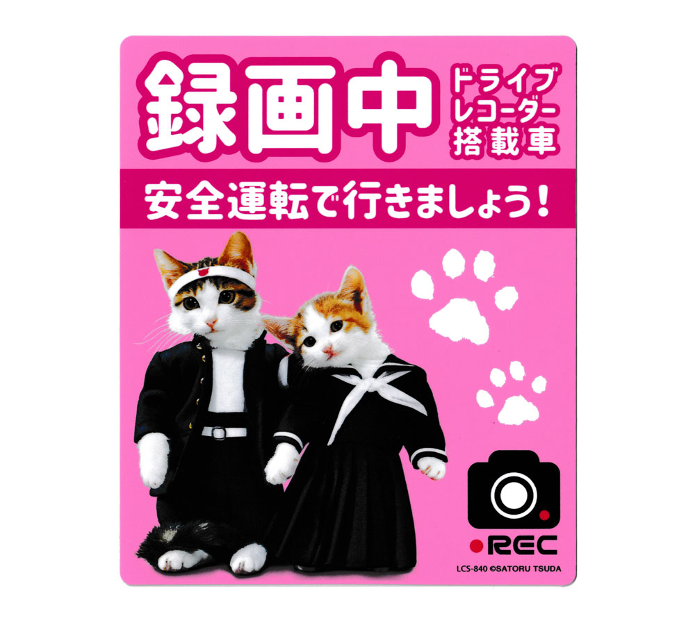 ゼネラルステッカー｜GENERAL STICKER なめ猫 ドライブレコーダーステッカー ピンク LCS-840