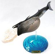 楽天市場】タカラトミーアーツ 立体カプセル百科事典 原色海生哺乳類