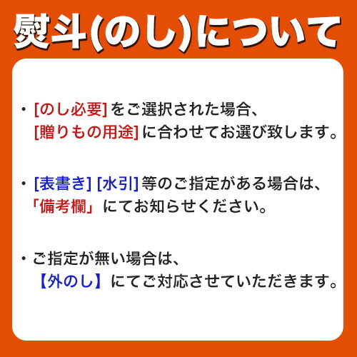 ライオン チャーミーマジカ2ホンLCM-2A