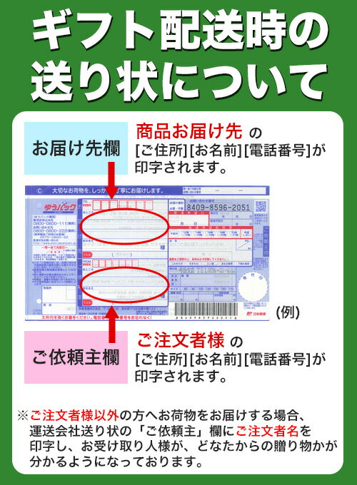 ライオン チャーミーマジカ2ホンLCM-2A