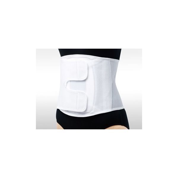 324601 腰部固定帯 マックスベルト FR S