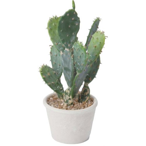人工観葉植物 YDM/オプンティアポット グリーン/GLA-1433-GR