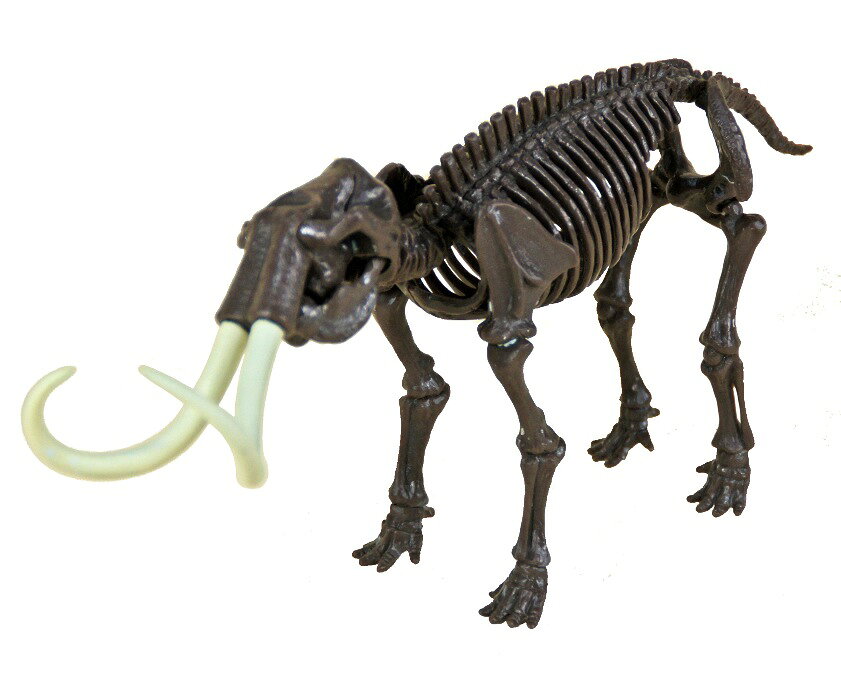 楽天市場】ヤマサン 氷河期発掘セットマンモス 骨格フィギュア 化石