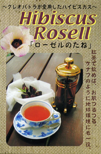 神に捧げる花“ハイビスカス”フクカエンローゼルの種