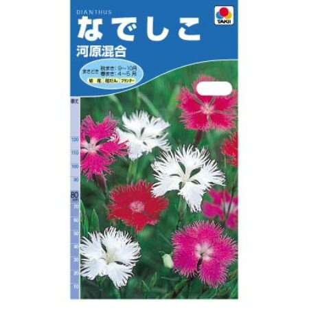 タキイの種 なでしこ河原混合