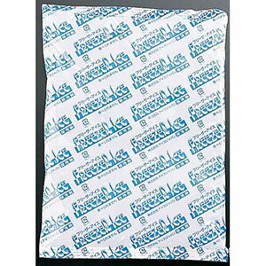 アイスジャパン 保冷剤 フリーザーアイス R-400 AHLV804