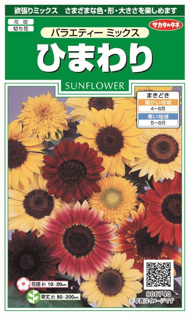 サカタのタネ｜SAKATA SEED CORPORATION 実咲 ひまわり バラエティーミックス 906740