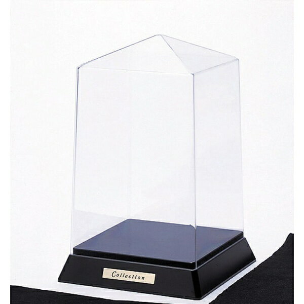 コレクションケース　Ｐ１０６