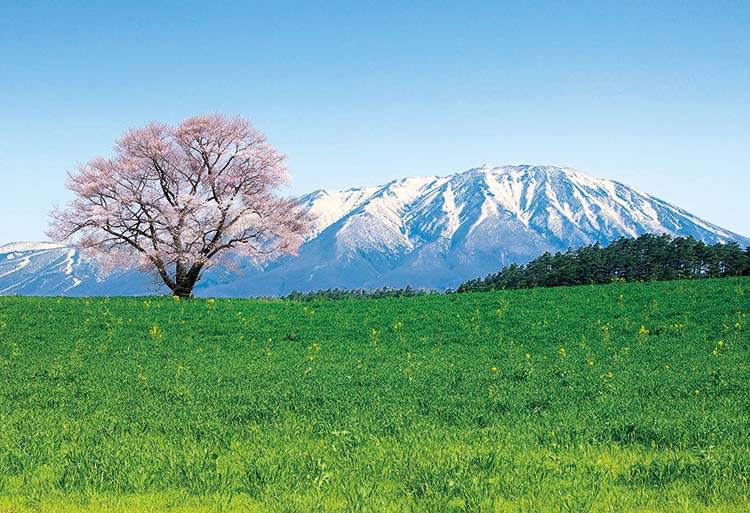 楽天市場】エポック社 EPO-71-282 風景 岩手山日本百名山 300ピース