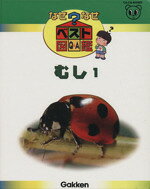 8c9c361193c87e69e5d70edfa0af32
