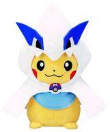 ポケモンセンター 白いメガゲンガー ぬいぐるみ ポケモンセンター メガゲンガー 白いメガゲンガー セット