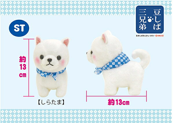 ぬいぐるみ3体セット 楽天市場】アミューズ アミュファン AMUFUN 豆しば三兄弟ぬいぐるみ