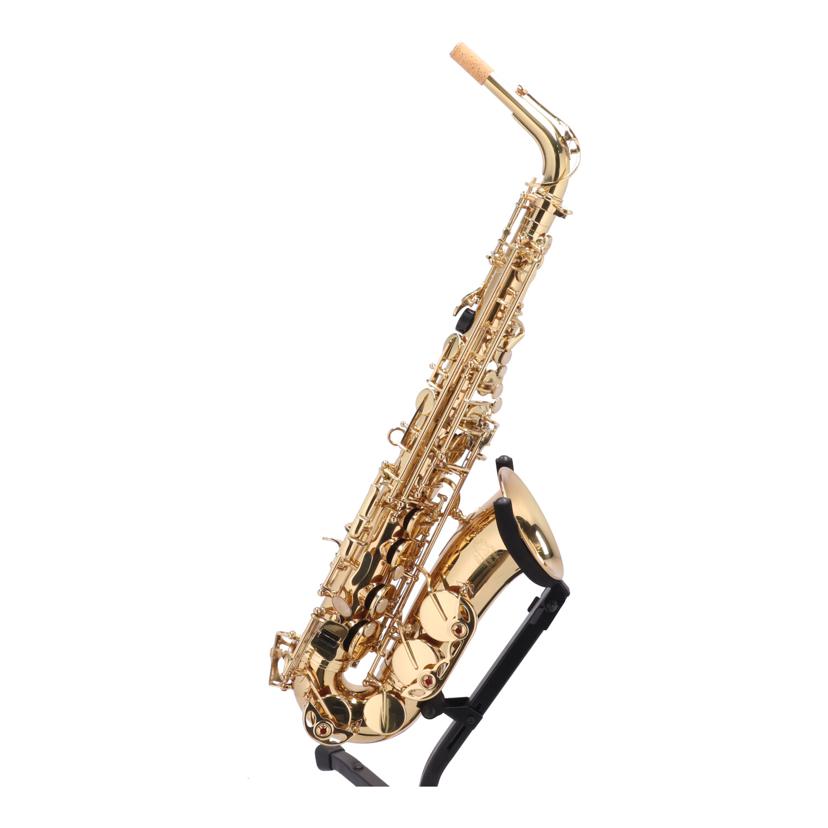 楽天市場】セルバ 初心者向けアルトサックス入門セット ALTOSAX SAS