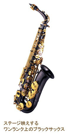 楽天市場】キョーリツコーポレーション Kaerntner ケルントナー アルト