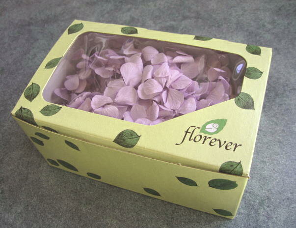 EARTH MATTERS あじさい ローズ 15個セット EARTH MATTERS あじさい ローズ 15個セット アウトレット・大地農園