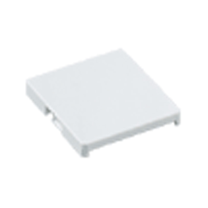 パナソニック電工 Panasonic WT30201W ブランクチップ スイッチ取付枠用 ダブル用 ホワイト 電設資材