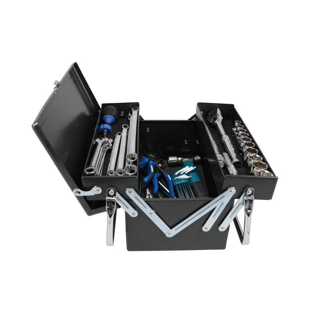 LINEクーポン有 シグネット 工具 SIGNET 800S-438DO メカニックツールセット両開き 12.7SQ