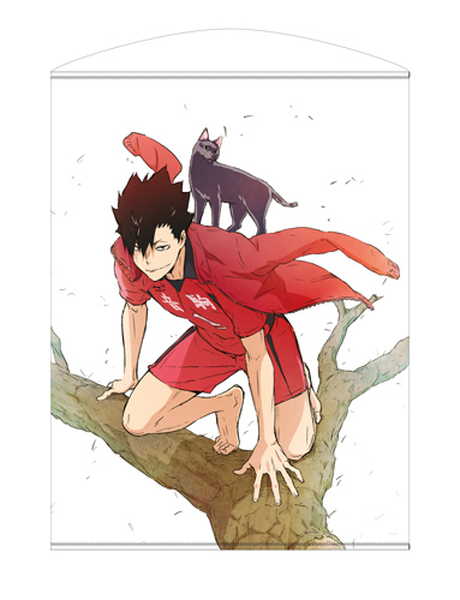 黒尾鉄朗 描き下ろし タペストリー フェイスタオル 楽天市場】コスパ ハイキュー！！ TO THE TOP 黒尾鉄朗 100cm