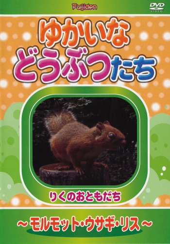 動物大好き 動物大好き - YouTube