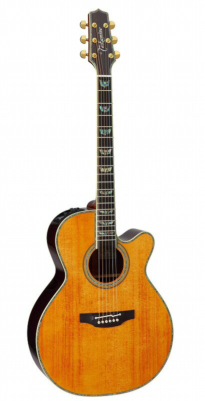 TAKAMINE DMP500