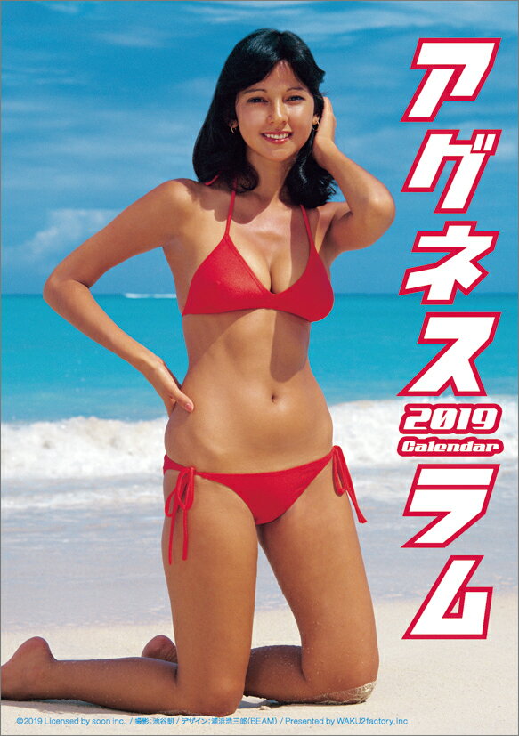 楽天市場】わくわく製作所 わくわく製作所 WAKU2factory アグネス