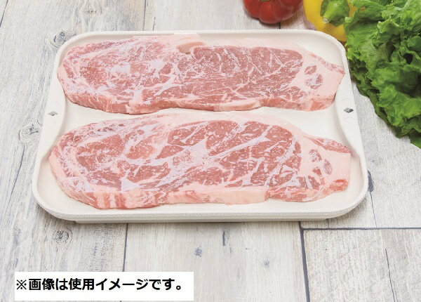 杉山金属 解凍皿 NEWクイッ君大 KS－3181