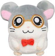 とっとこハム太郎 ハムちゃんずコレクション ぬいぐるみ めがねくん(S)