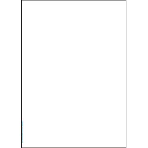 HISAGO マルチプリンタ帳票 抗菌紙 A4 白紙 BPK2000