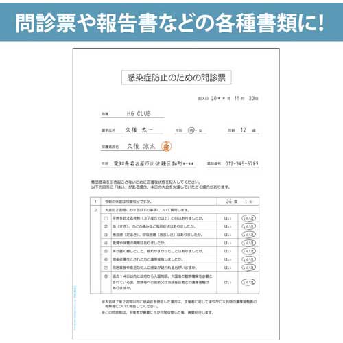 HISAGO マルチプリンタ帳票 抗菌紙 A4 白紙 BPK2000