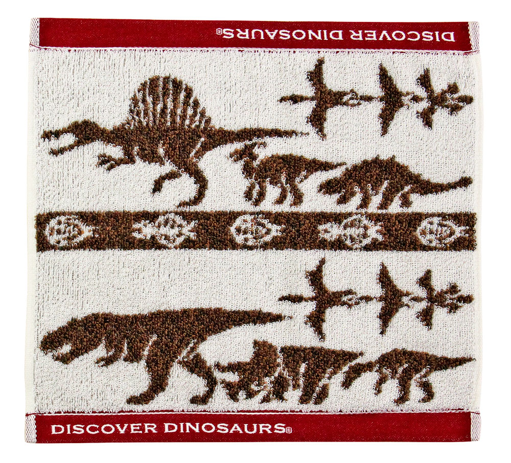 カロラータ 今治タオル ウォッシュタオル 白亜紀の恐竜 翼竜 ベージュ 981870