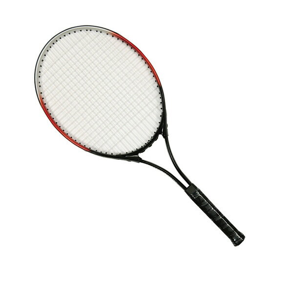 ウィルソン MONFILS OPEN 103 硬式用 2本セット テニスラケット Amazon.co.jp: Wilson(ウイルソン) 硬式 テニスラケット [ガット