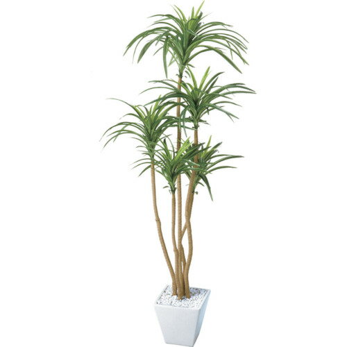 ユッカポット L /GLA1198