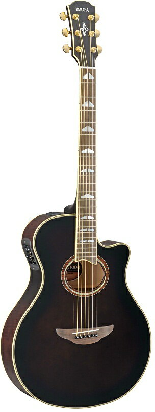 ギター APX1200II NT My Yamaha APX1200ii-NT (Martin's Guitar Collection 2022