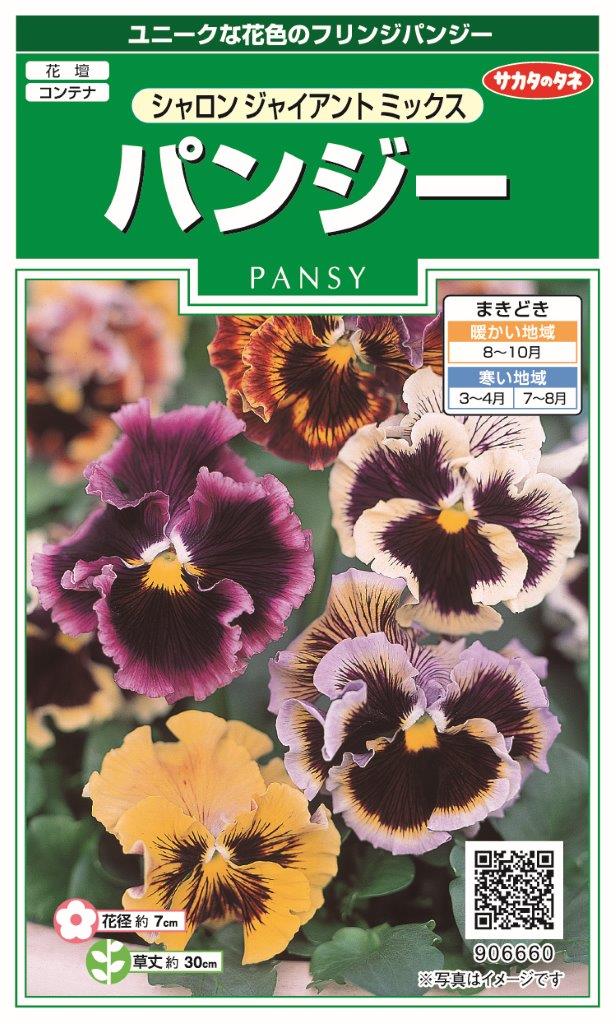 サカタのタネ 実咲花6660 パンジー シャロンジャイアントミックス 00906660