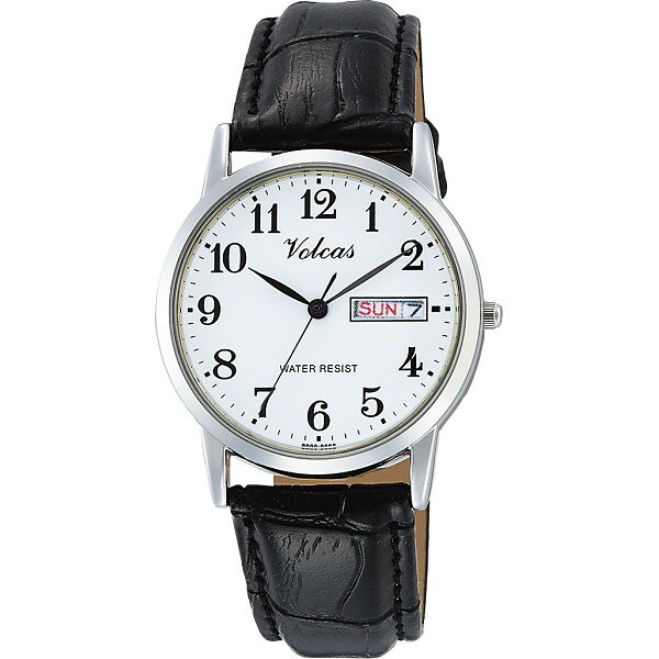 楽天市場】シチズン時計 Volcas フォルカス メンズ腕時計 A206V314