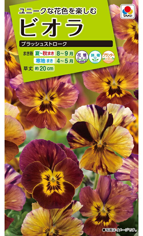 タキイの種 ビオラビビ ライトローズウィズブロッチ