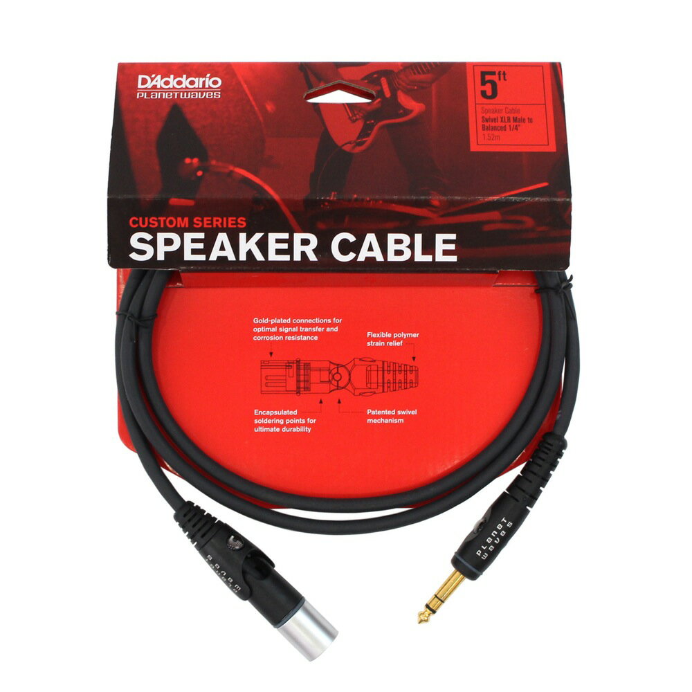 【新品、未使用】 AudioQuest Q2 3m 完成品 楽天市場】ディーアンドエムホールディングス オーディオ