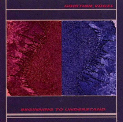 Beginning to Understand CristianVogel