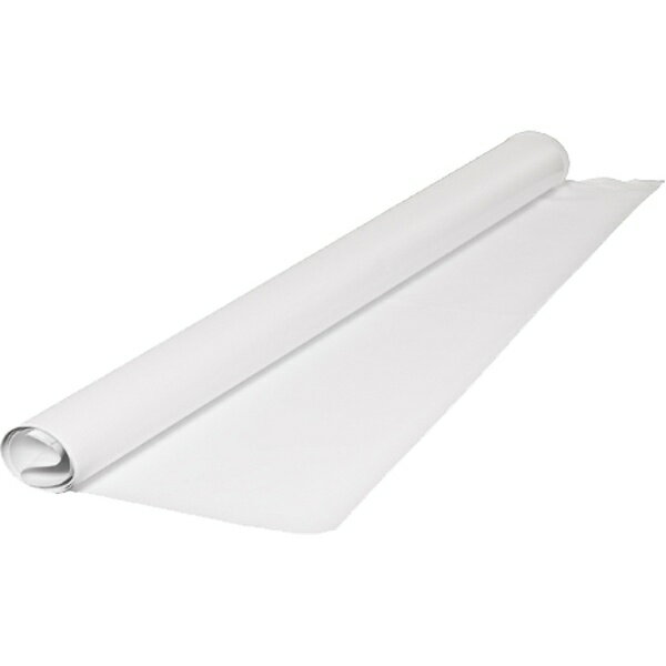 ラストライト ビニール製トレーン 洗濯可 HiLiteバックグラウンド 1.5×2.15m用 LB8858 8858