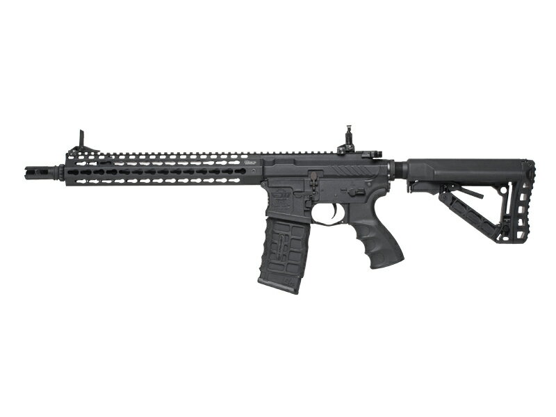 G&G Wild Hog ワイルドホッグ カスタム済
