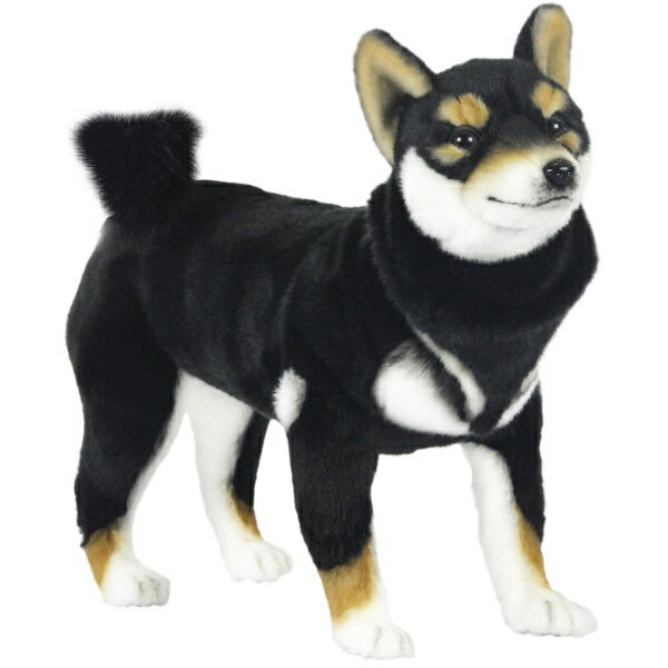 しばけん 楽天市場】シバケン 48 | 価格比較 - 商品価格ナビ