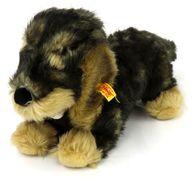 楽天市場】Steiff シュタイフ モリッツ ダックスフント ぬいぐるみ