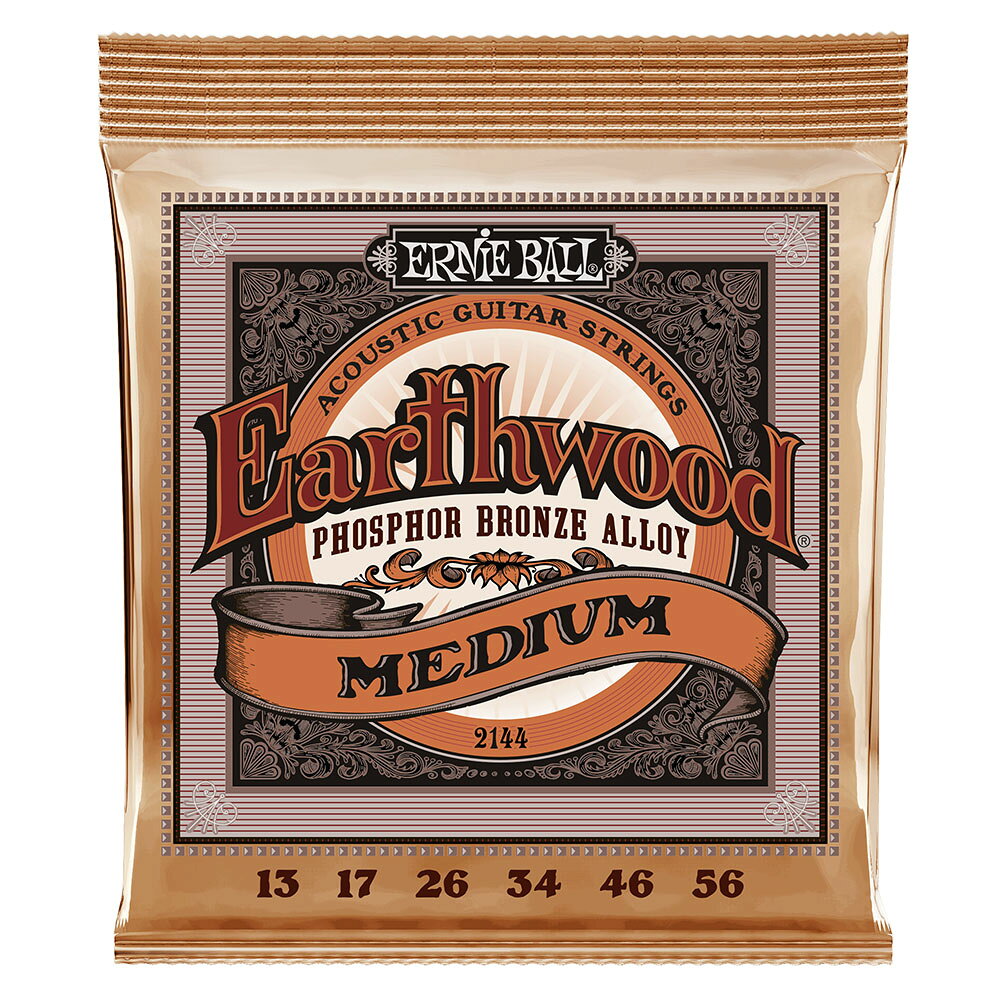 ERNIE BALL 2144 アコースティックギター弦 13-56 EARTHWOOD PHOSPHOR BRONZE MEDIUM