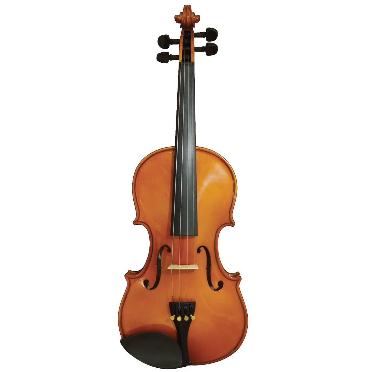 楽天市場】キクタニミュージック キクタニ エレクトリックバイオリン